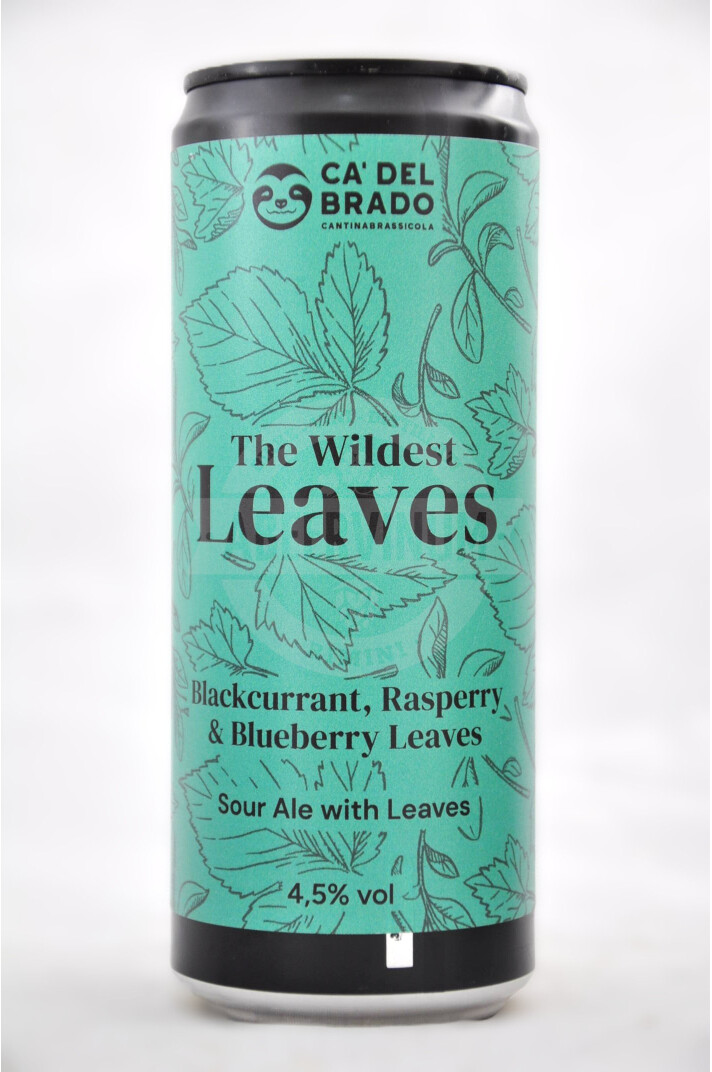 Sour ale a fermentazione mista con foglie di ribes, lamponi e mirtillo